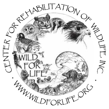 Wild for Life logo